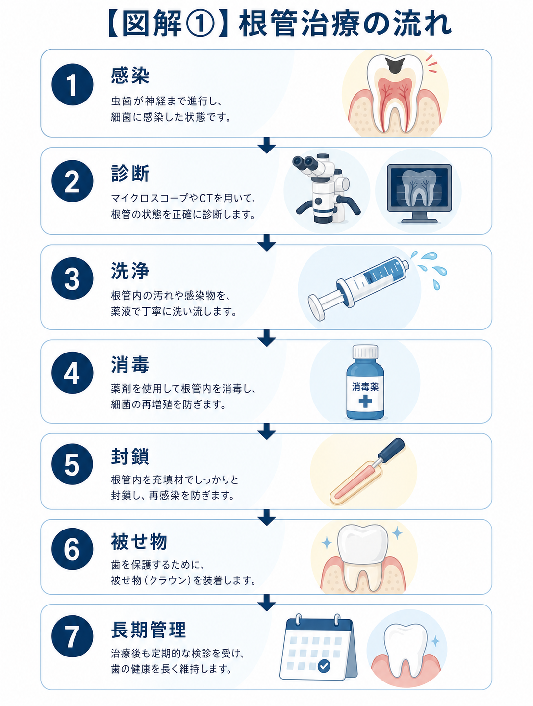根管治療の7つの流れ:感染、診断、洗浄、消毒、封鎖、被せ物、長期管理